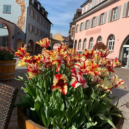 Apartment Barocke Stadtvilla Ophelia Nahe Europapark 45qm 1,5 Zi