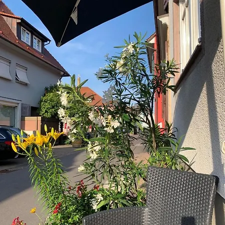Barocke Stadtvilla Ophelia Nahe Europapark 45qm 1,5 Zi Ettenheim